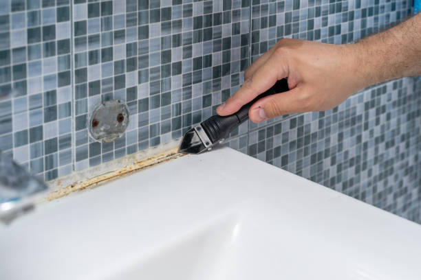 Office Mold Removal Services in Somers, MT